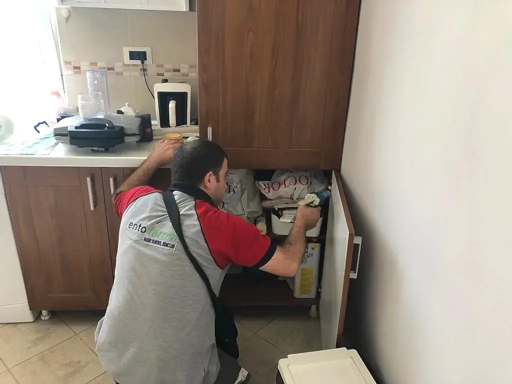 ev-ilaclama-galeri-13