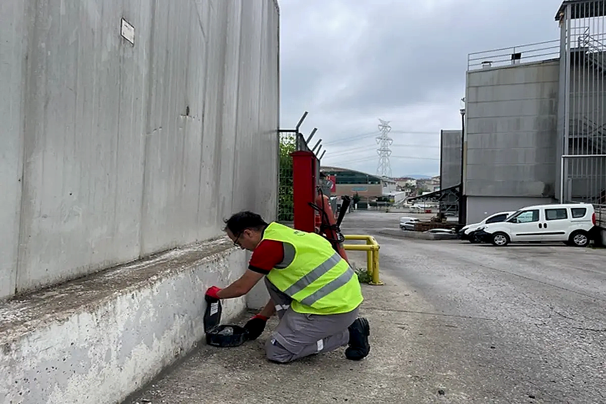 Pest (Haşere) Kontrol