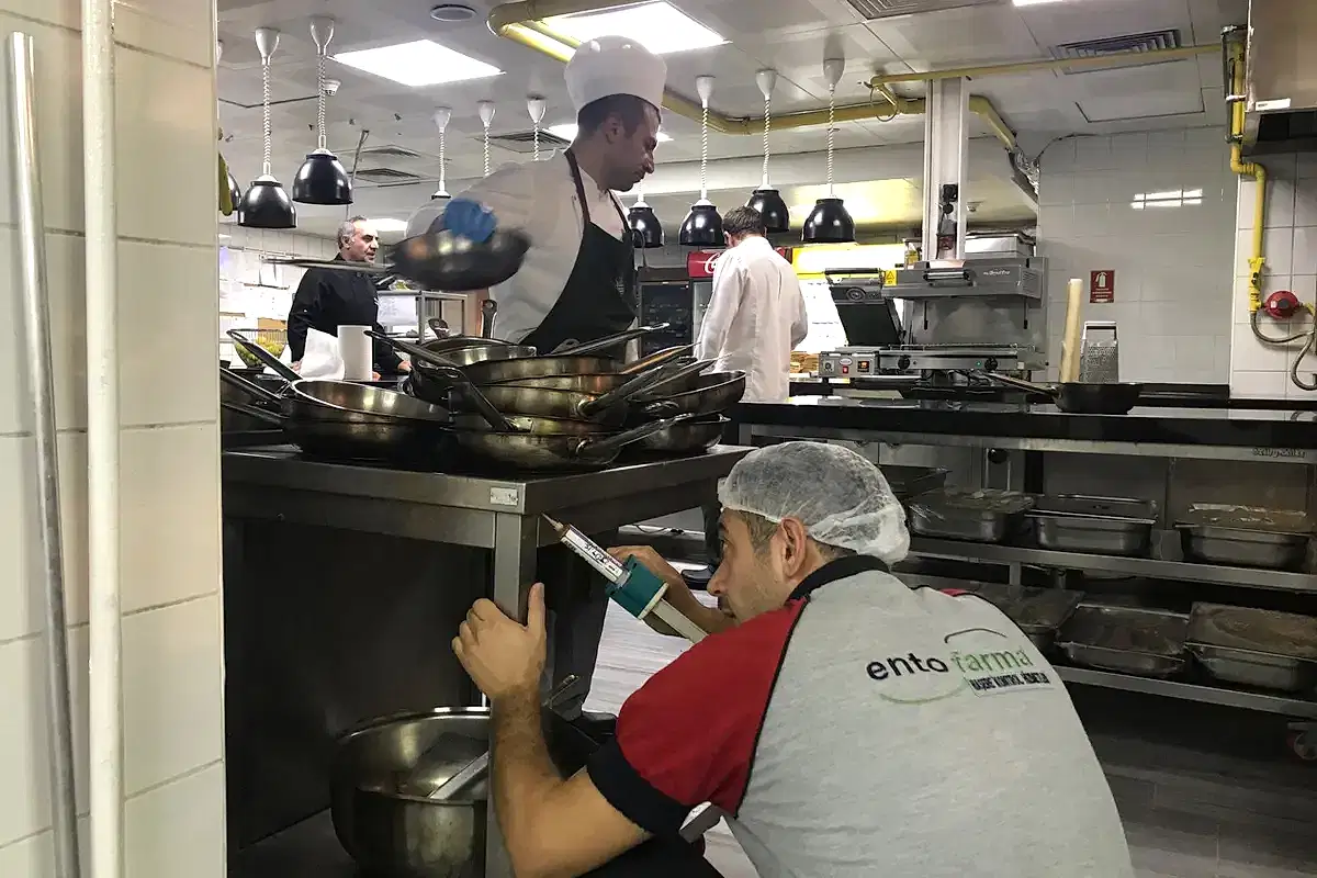 Pest (Haşere) Kontrol