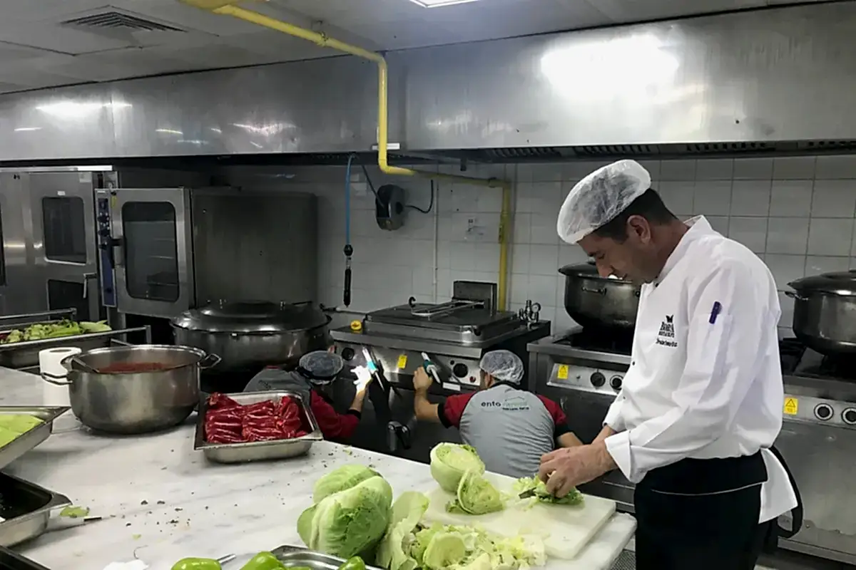 Pest (Haşere) Kontrol