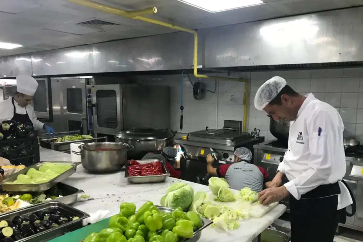 Pest (Haşere) Kontrol