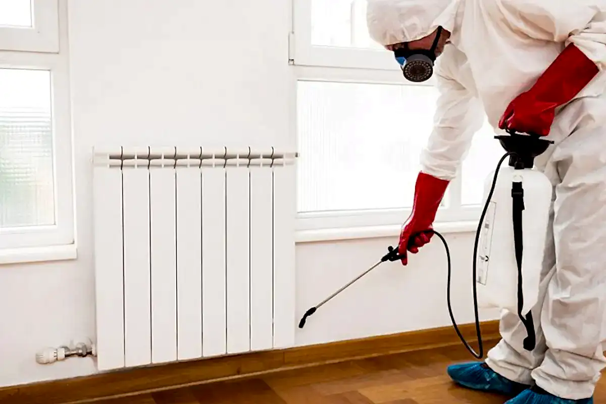 Evde Tahta Kurusu İlaçlama Nasıl Yapılır?