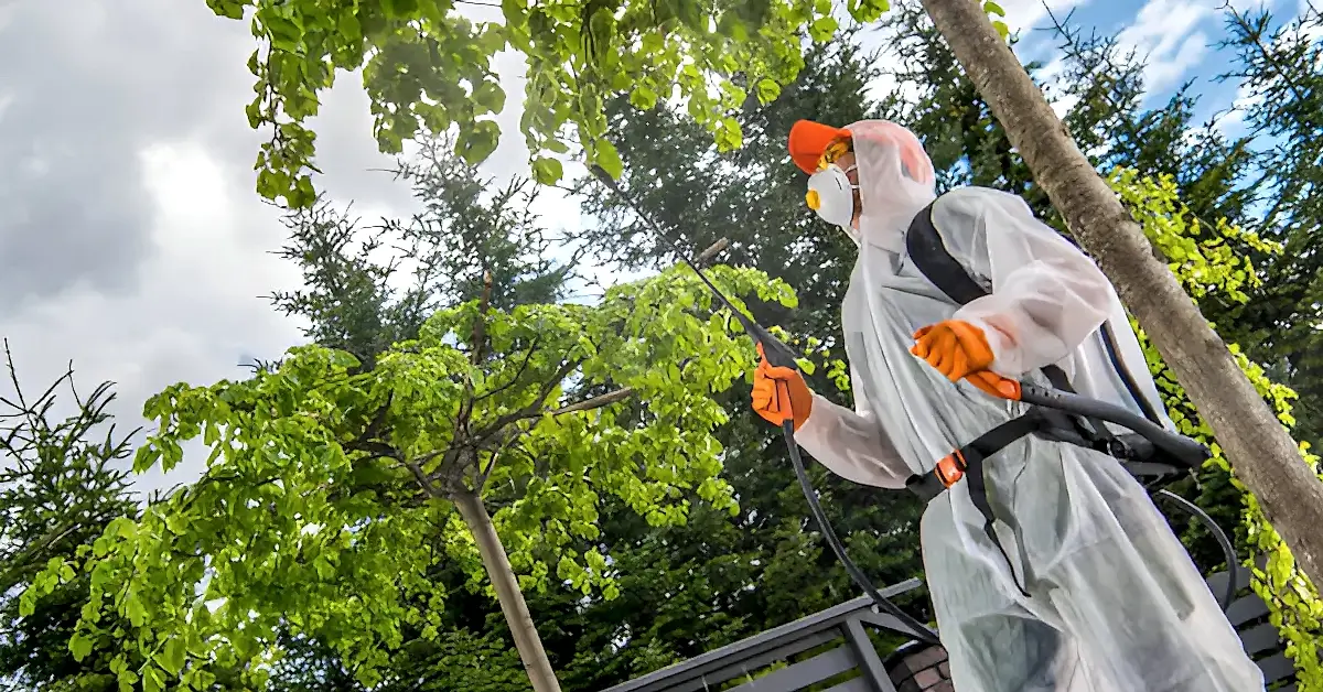 Bahçe İlaçlama Diğer İlaçlamalardan Farklı mıdır?