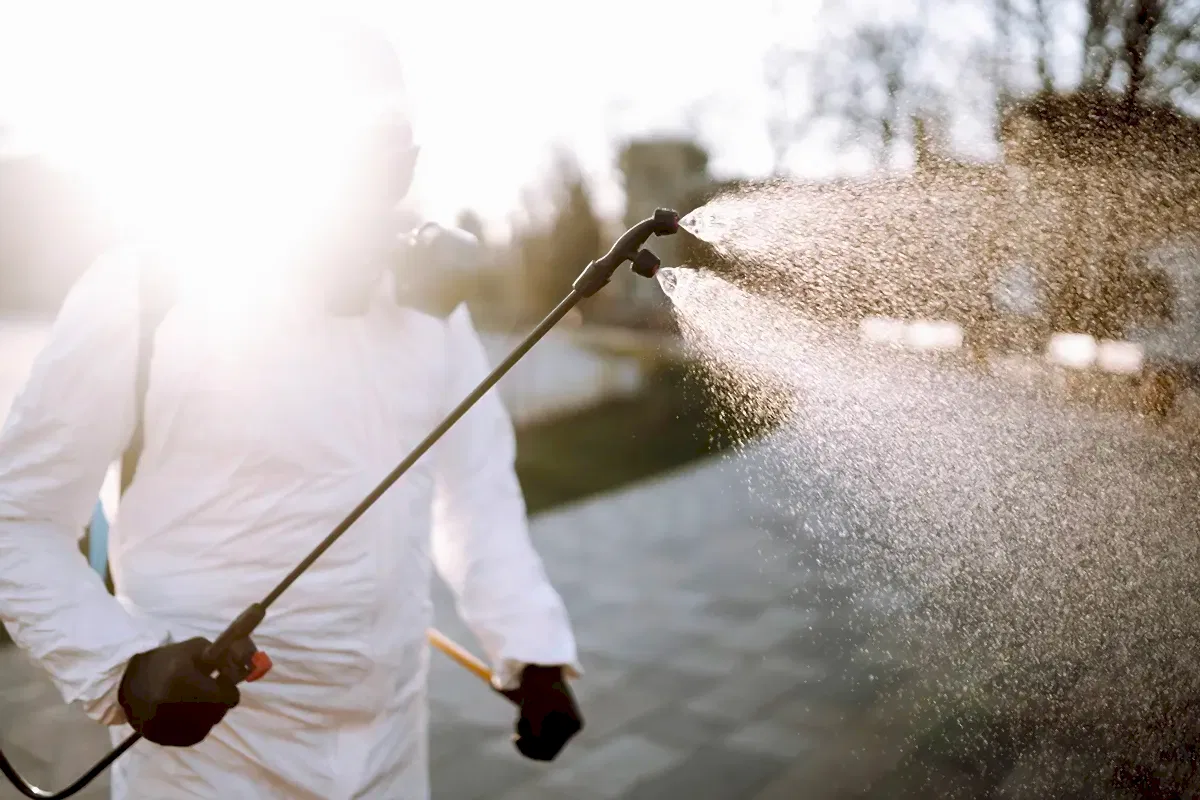 İstanbul Böcek İlaçlama