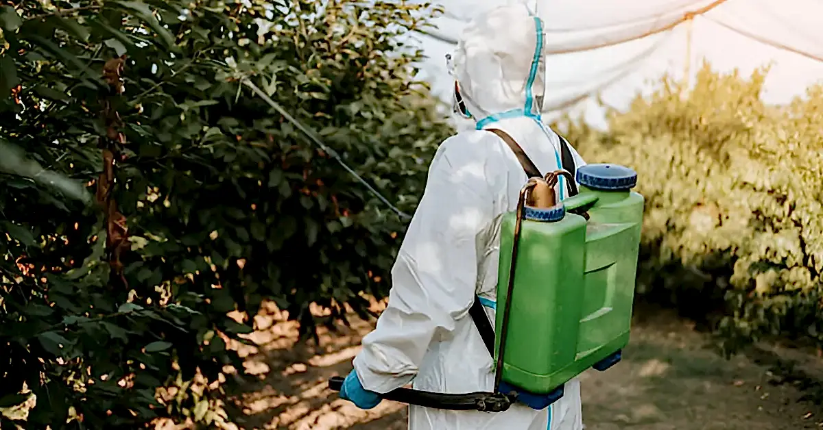 Profesyonel Bahçe İlaçlama Uygulamaları