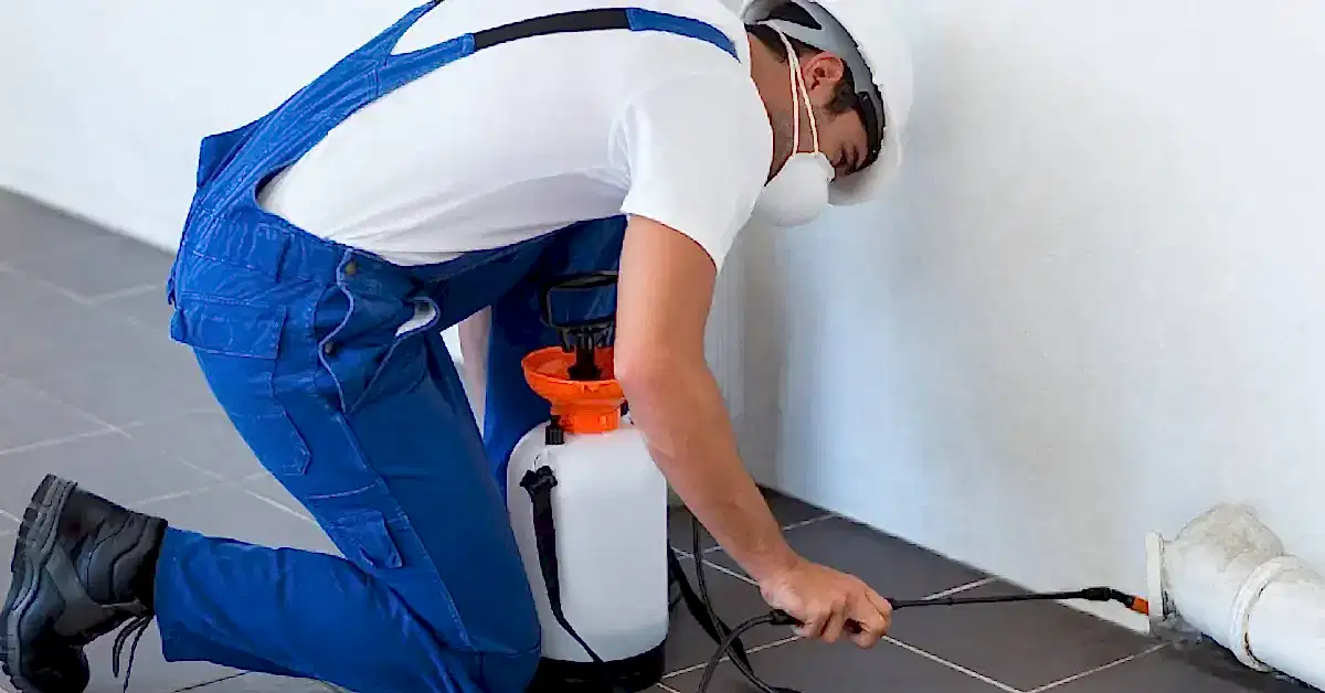 Apartman İlaçlama Nedir?